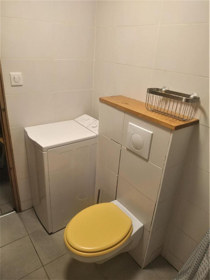 Appartement Dans Ferme Renovee Au Coeur Du Grand Massif Sixt Екстериор снимка